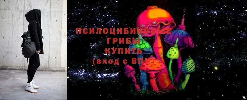 Псилоцибиновые грибы Psilocybine cubensis  Заринск 