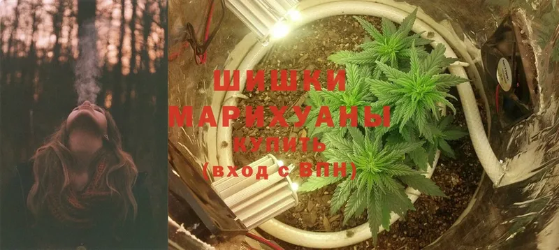 Бошки Шишки Ganja  купить наркотики цена  Заринск 